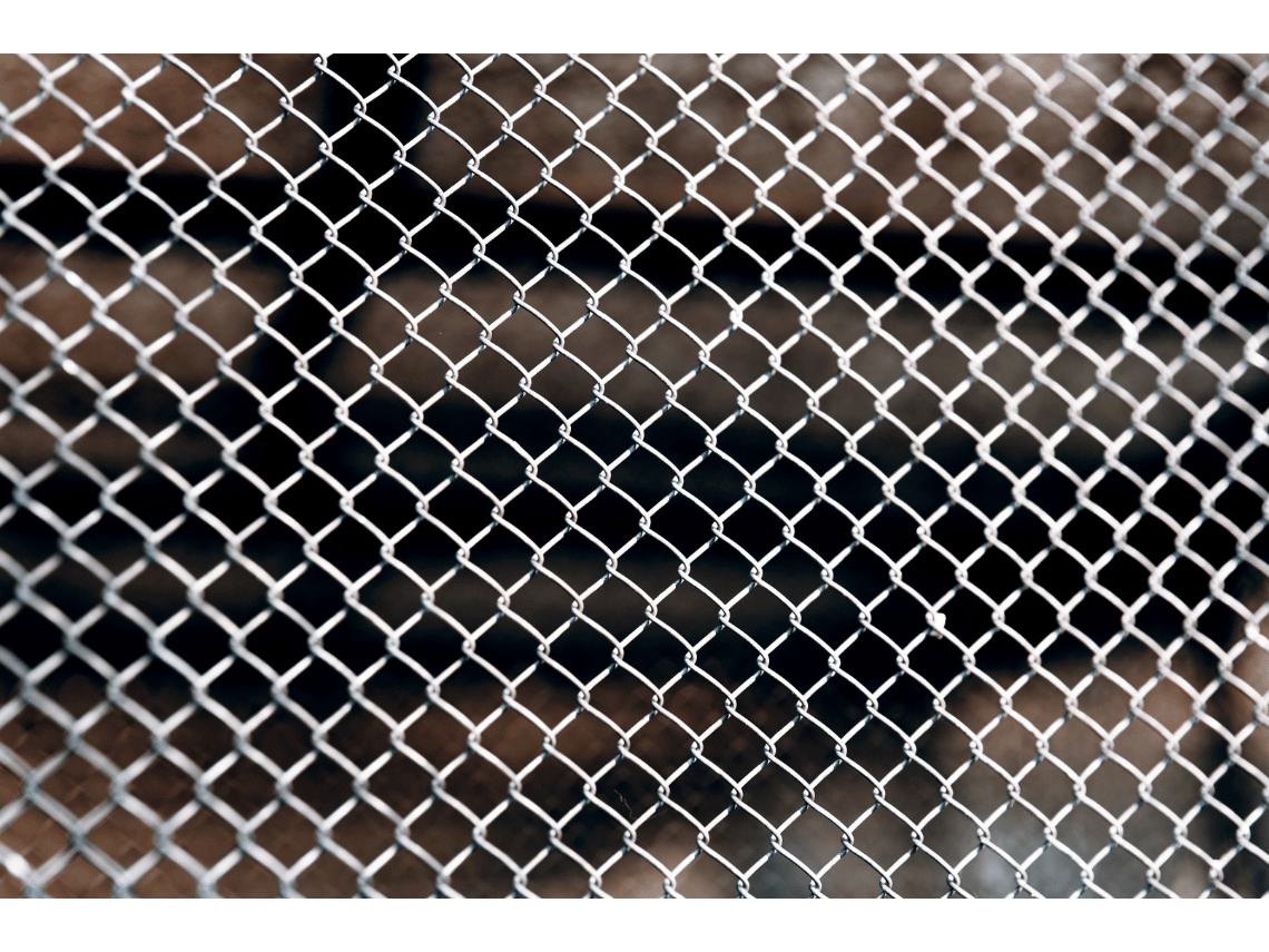 Bird Mesh Example