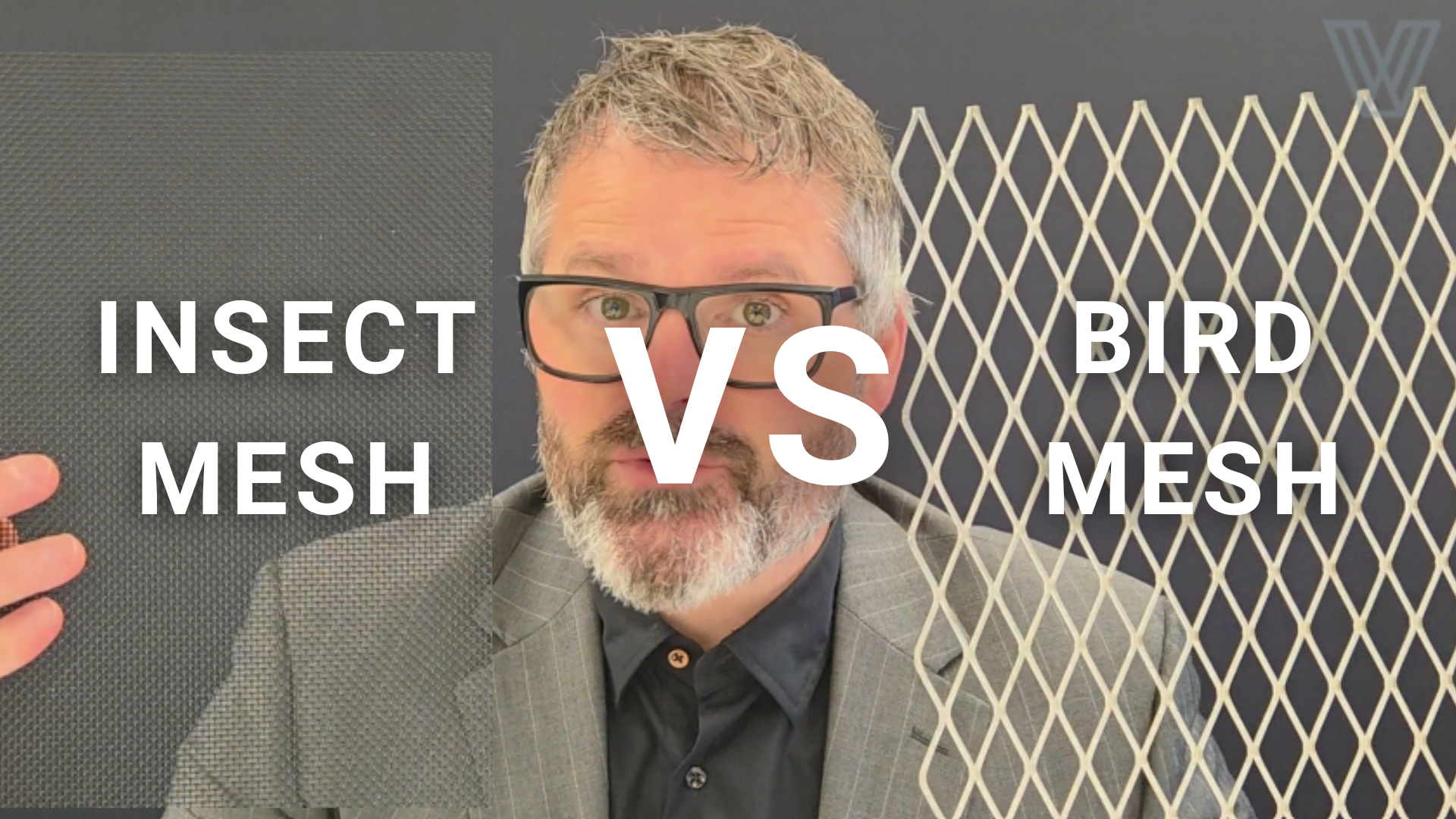 Insect Mesh vs Bird Mesh: What's the Difference?