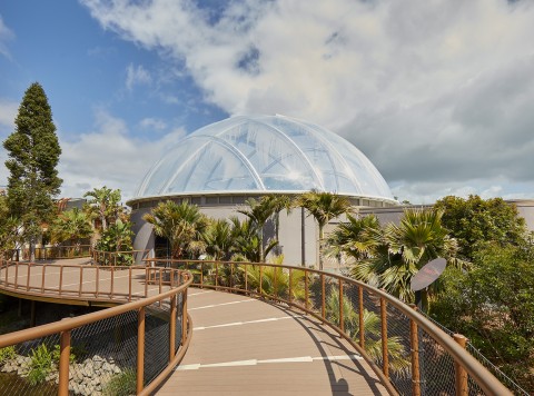 Zoo Dome 226 3