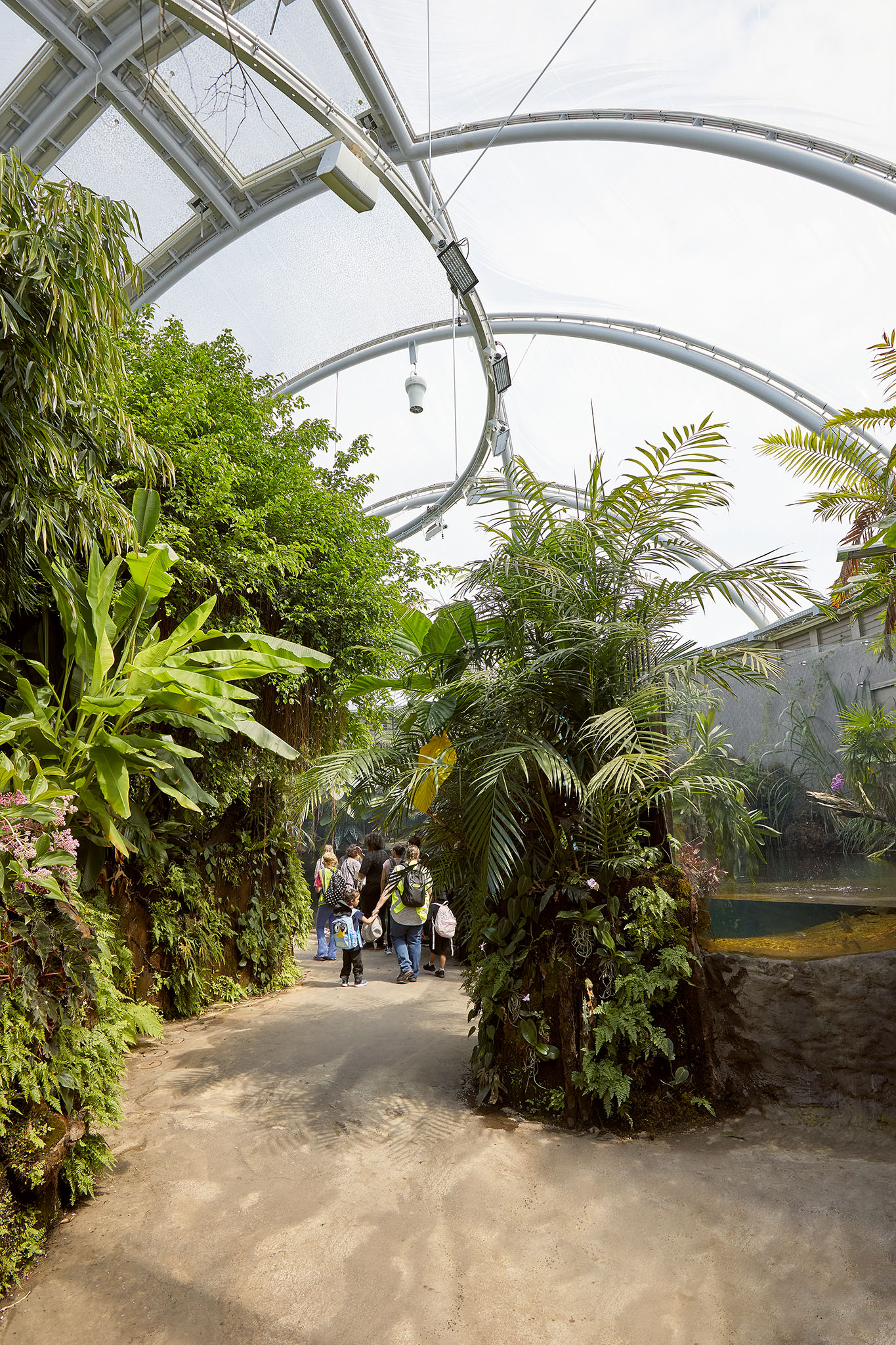 Zoo Dome 319 3
