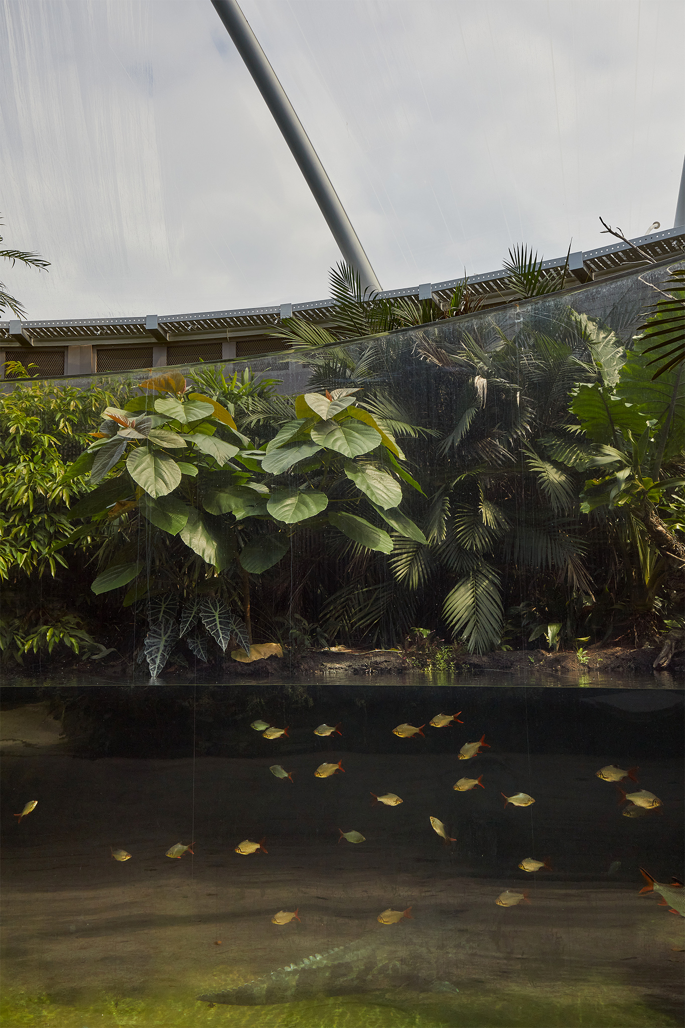 Zoo Dome 392 3