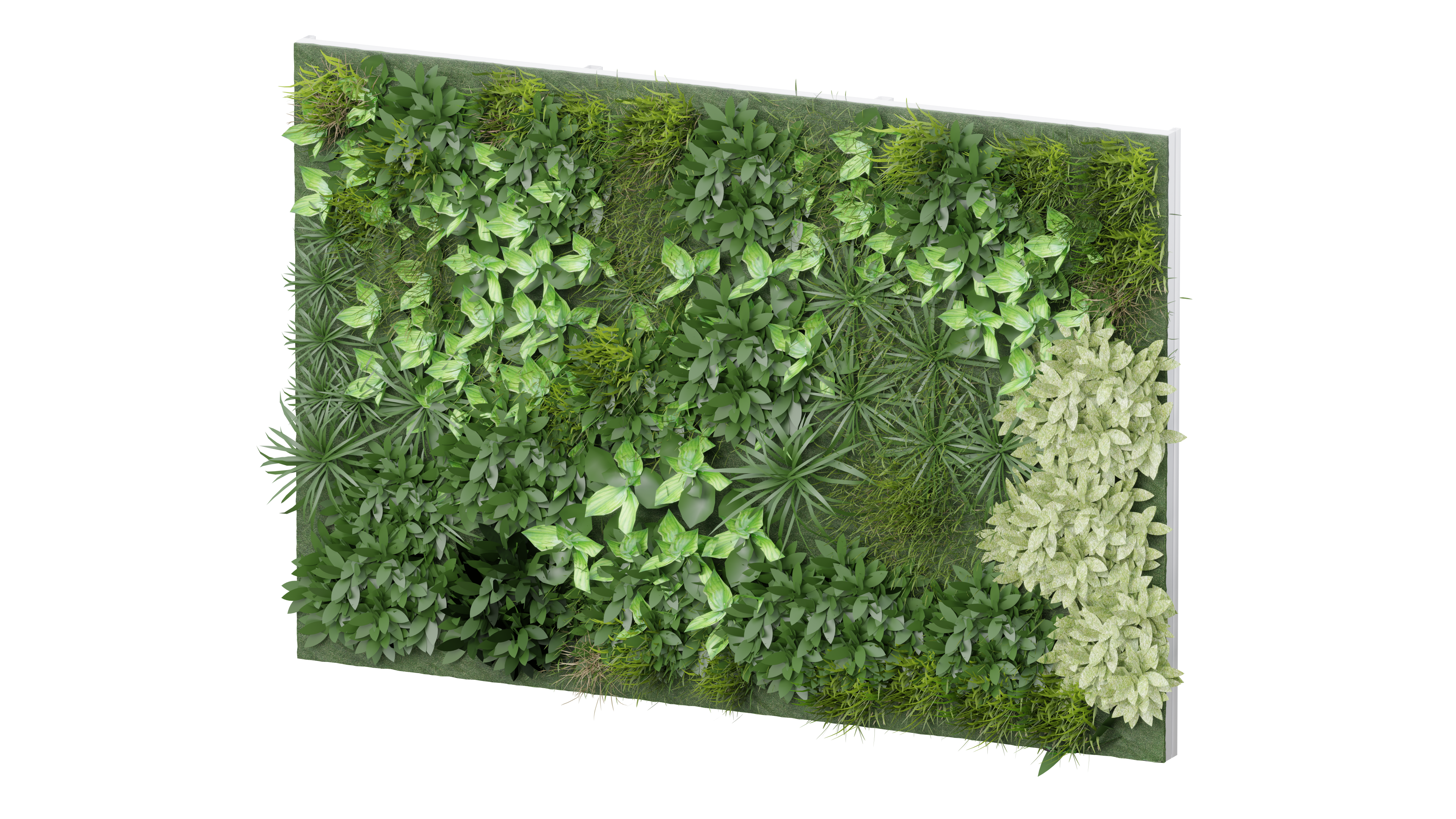 11 Living Walls